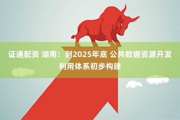 证通配资 湖南：到2025年底 公共数据资源开发利用体系初步构建