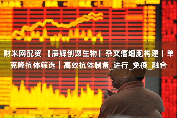 财米网配资 【辰辉创聚生物】杂交瘤细胞构建｜单克隆抗体筛选｜高效抗体制备_进行_免疫_融合